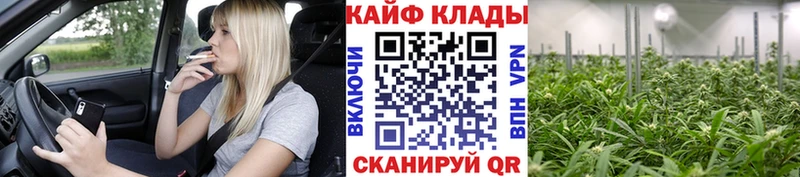 Купить наркотики Няндома Псилоцибиновые грибы  ГАШ  Cocaine 