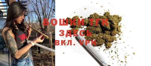 mix Богородск
