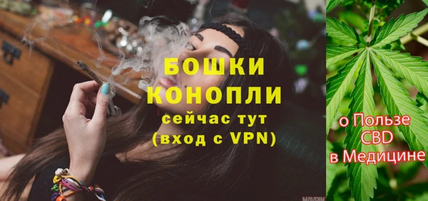 mix Богородск